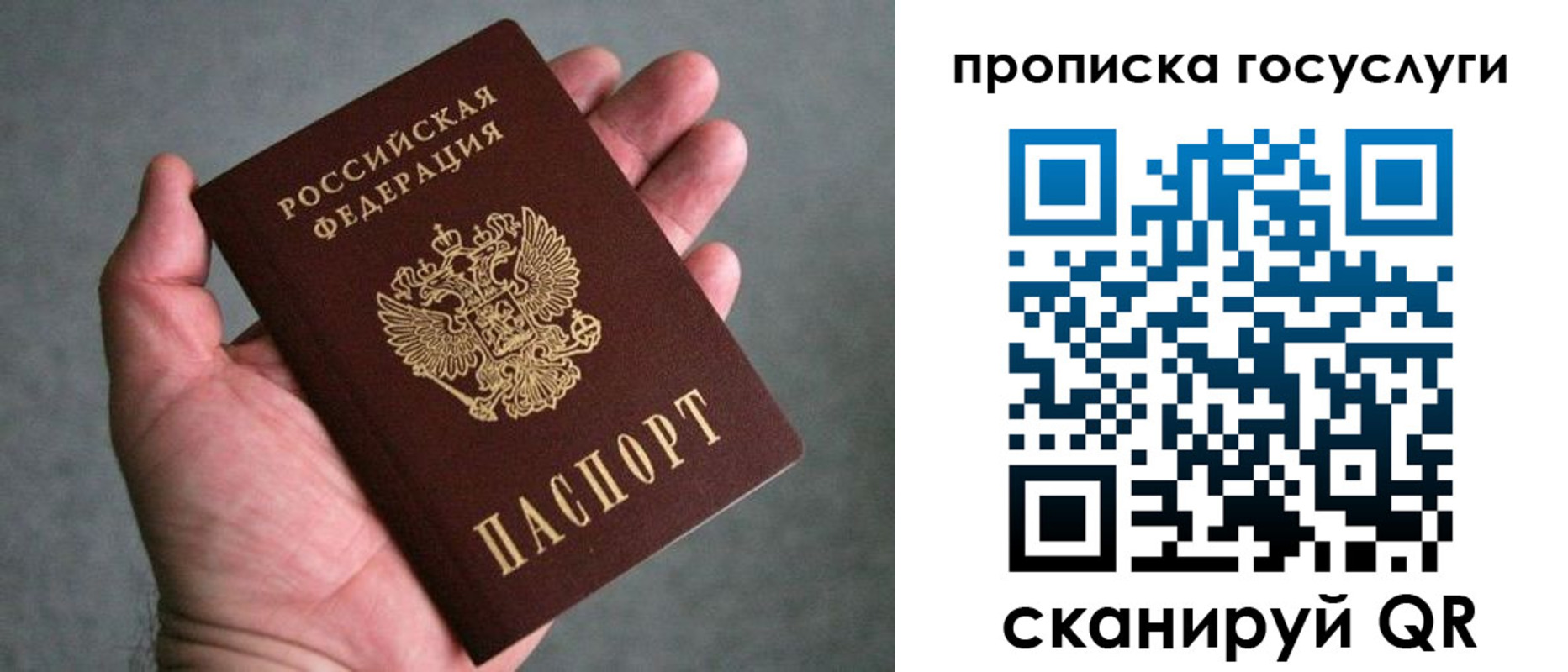 прописка 2025 в Михайлове